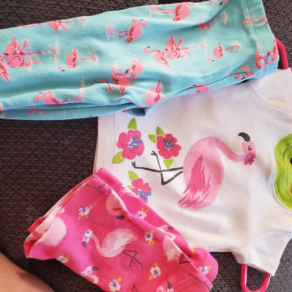 infant flamingos